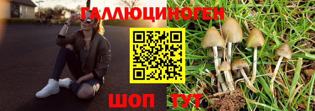 Лосино-Петровский  Галлюциногенные грибы Psilocybine cubensis  Вход с VPN 